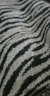 20260909_183011.jpg
